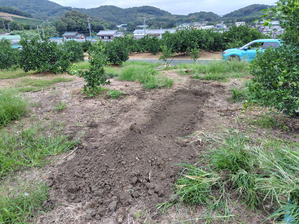 できあがった棺桶サイズのにんにく畑のスペース