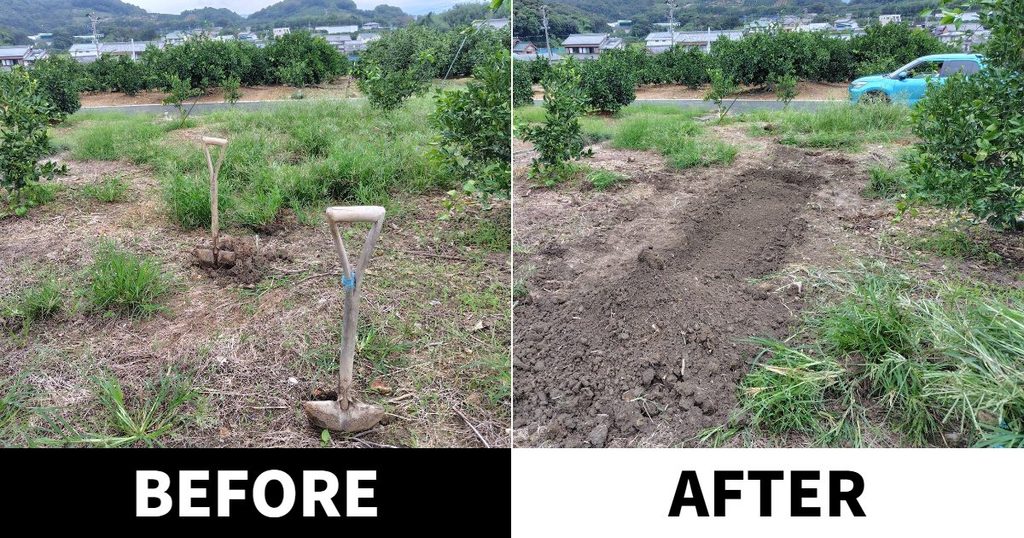 ビフォーアフターの様子