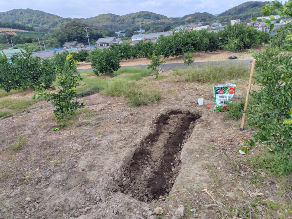 にんにく畑に培養土投入