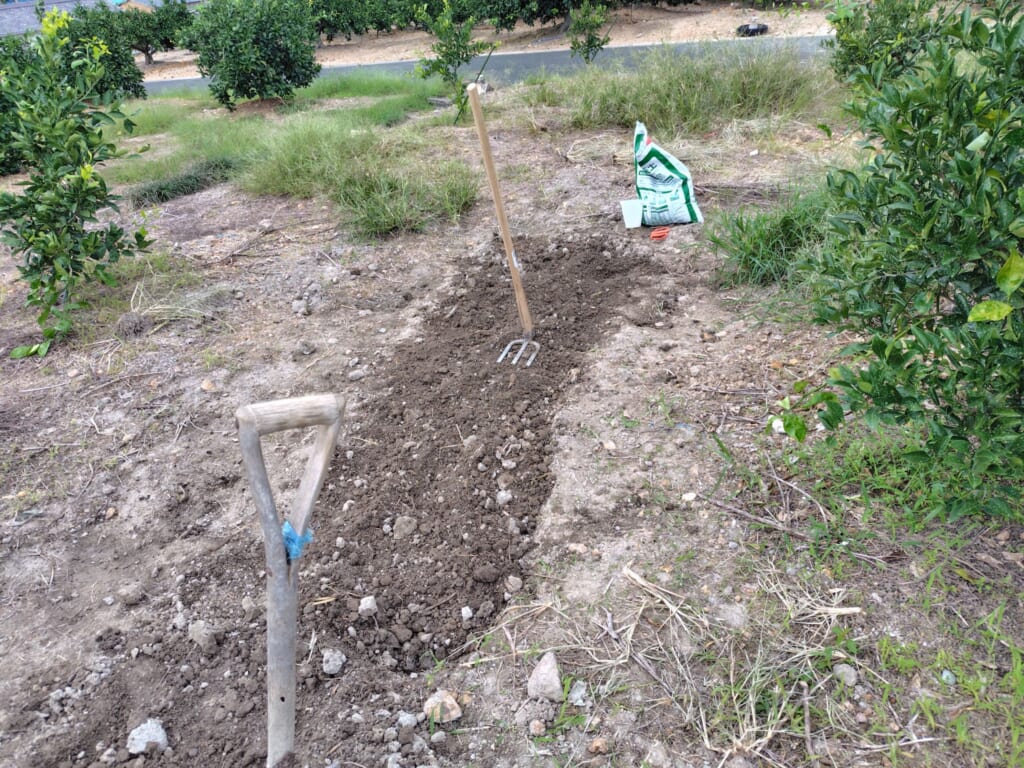 にんにく畑の土をよく混ぜる