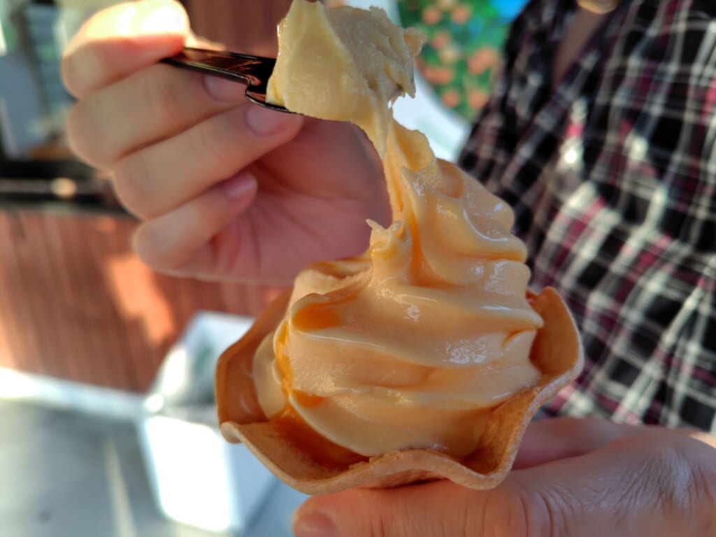三ヶ日みかんソフトクリームの食レポ